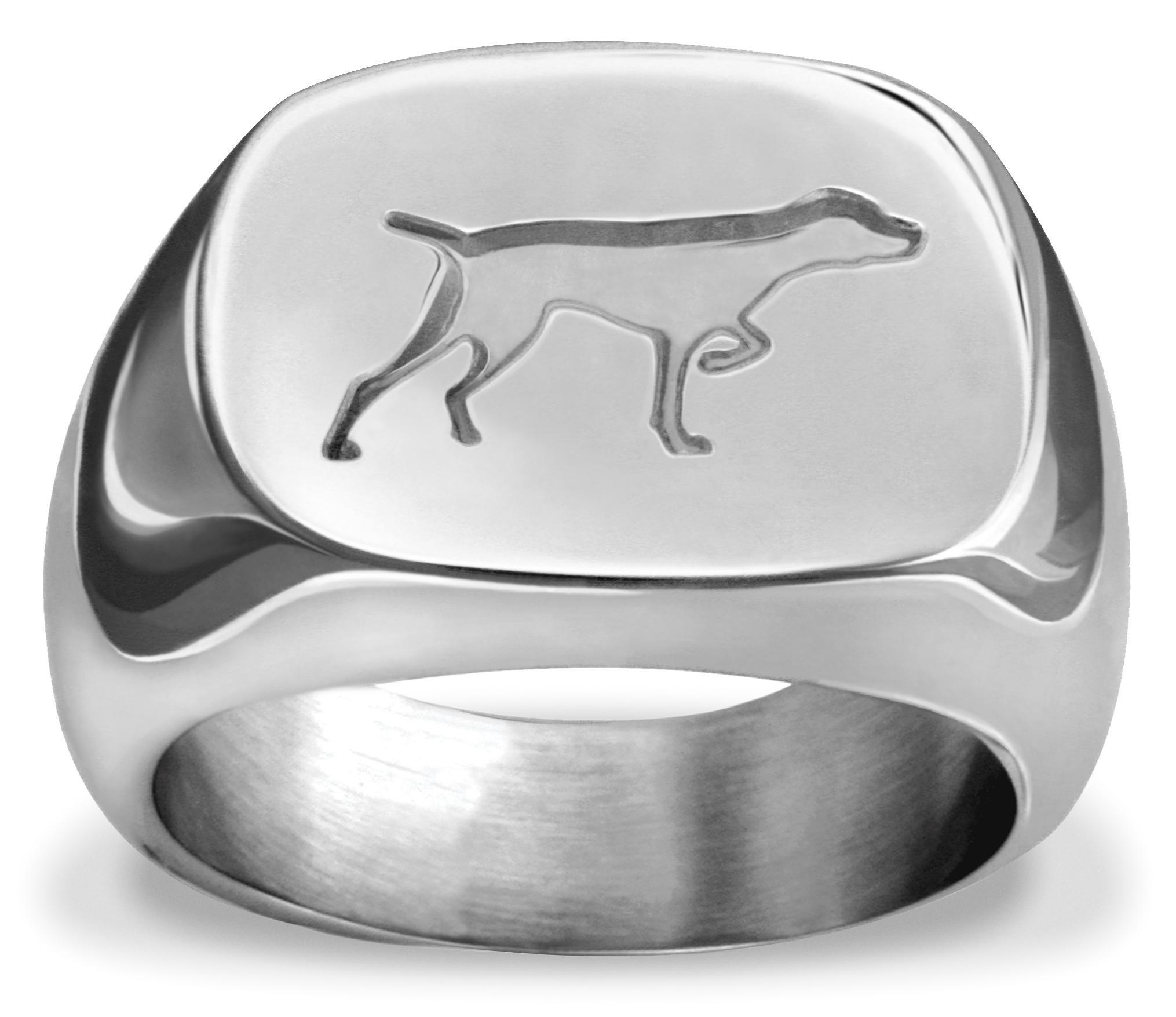 Pointer/Bird Dog